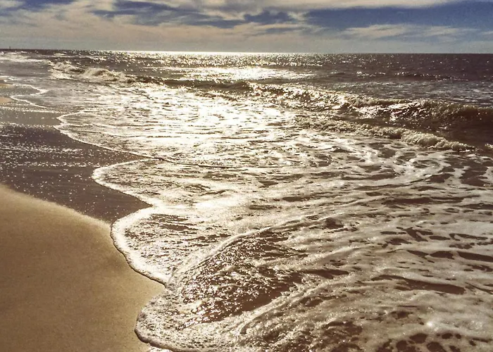 Clearwater #201
